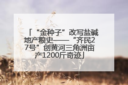 “金种子”改写盐碱地产粮史——“齐民27号”创黄河三角洲亩产1200斤奇迹