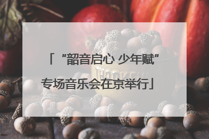 “韶音启心 少年赋”专场音乐会在京举行