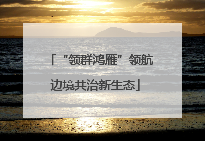 “领群鸿雁”领航边境共治新生态
