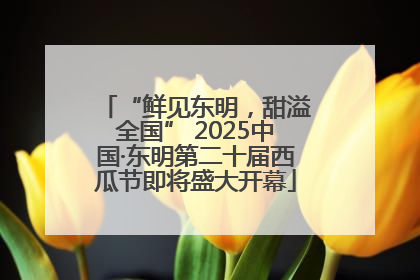 “鲜见东明，甜溢全国” 2025中国·东明第二十届西瓜节即将盛大开幕