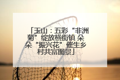 玉山：五彩“非洲菊”绽放横街镇 朵朵“振兴花”催生乡村共富图景