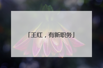 王红，有新职务