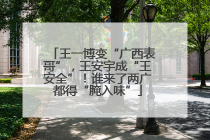 王一博变“广西表哥”，王安宇成“王安全”！谁来了两广都得“腌入味”