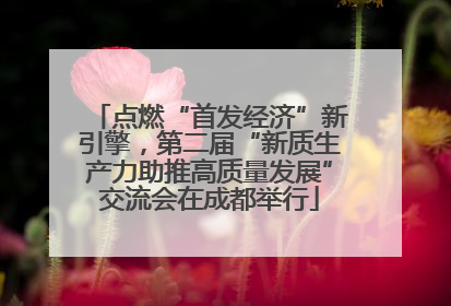 点燃“首发经济”新引擎，第二届“新质生产力助推高质量发展”交流会在成都举行