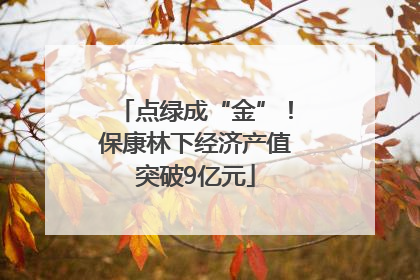 点绿成“金”！保康林下经济产值突破9亿元
