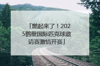 燃起来了！2025鹤壁国际匹克球邀请赛激情开赛