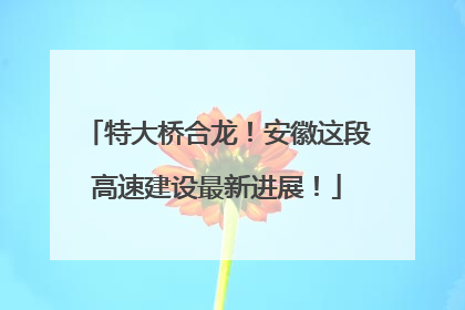 特大桥合龙！安徽这段高速建设最新进展！