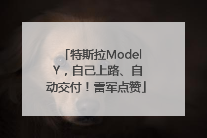 特斯拉Model Y，自己上路、自动交付！雷军点赞