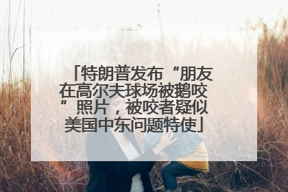 特朗普发布“朋友在高尔夫球场被鹅咬”照片，被咬者疑似美国中东问题特使