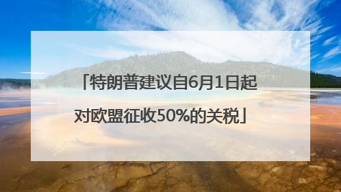 特朗普建议自6月1日起对欧盟征收50%的关税