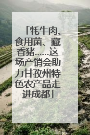 牦牛肉、食用菌、藏香猪……这场产销会助力甘孜州特色农产品走进成都