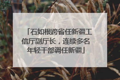 石如根跨省任新疆工信厅副厅长，连续多名年轻干部调任新疆