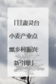 甘肃灵台小麦产业点燃乡村振兴新引擎