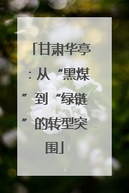 甘肃华亭：从“黑煤”到“绿链”的转型突围