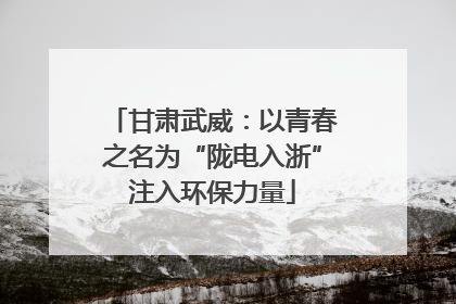 甘肃武威：以青春之名为“陇电入浙”注入环保力量