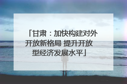 甘肃：加快构建对外开放新格局 提升开放型经济发展水平