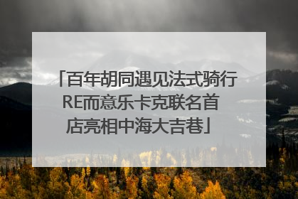 百年胡同遇见法式骑行 RE而意乐卡克联名首店亮相中海大吉巷