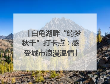 白龟湖畔“绮梦秋千”打卡点：感受城市浪漫温情