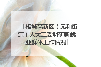 相城高新区（元和街道）人大工委调研新就业群体工作情况