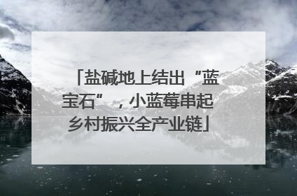 盐碱地上结出“蓝宝石”，小蓝莓串起乡村振兴全产业链
