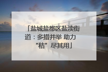 盐城盐都区盐渎街道：多措并举 助力“秸”尽其用