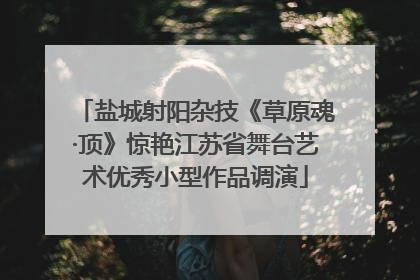 盐城射阳杂技《草原魂·顶》惊艳江苏省舞台艺术优秀小型作品调演