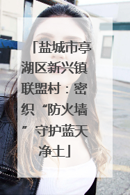 盐城市亭湖区新兴镇联盟村：密织“防火墙”守护蓝天净土