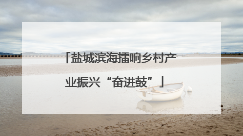 盐城滨海擂响乡村产业振兴“奋进鼓”