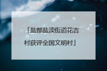 盐都盐渎街道花吉村获评全国文明村
