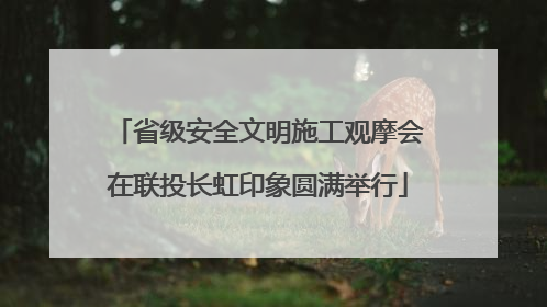 省级安全文明施工观摩会在联投长虹印象圆满举行