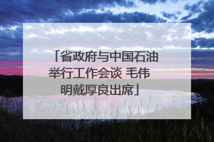 省政府与中国石油举行工作会谈 毛伟明戴厚良出席
