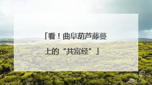 看！曲阜葫芦藤蔓上的“共富经”