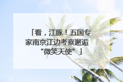 看，江豚！五国专家南京江边考察邂逅“微笑天使”