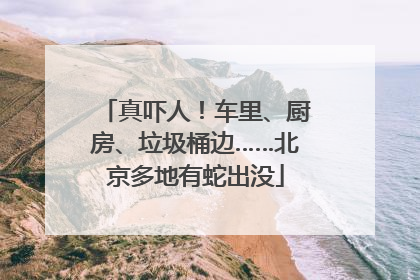 真吓人！车里、厨房、垃圾桶边……北京多地有蛇出没