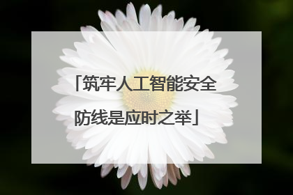 筑牢人工智能安全防线是应时之举