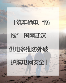 筑牢输电“防线” 国网武汉供电多维防外破护航电网安全