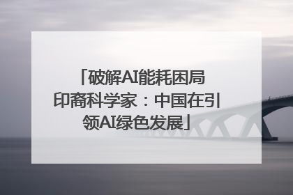 破解AI能耗困局 印裔科学家：中国在引领AI绿色发展