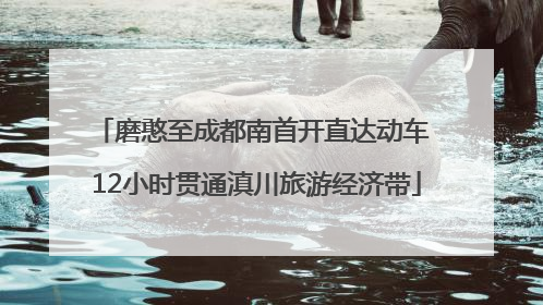 磨憨至成都南首开直达动车 12小时贯通滇川旅游经济带