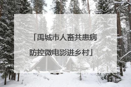 禹城市人畜共患病防控微电影进乡村