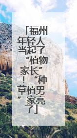福州年轻人当起了“植物家长”！“种草植男”家亮了