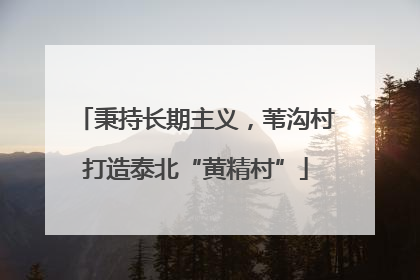 秉持长期主义，苇沟村打造泰北“黄精村”