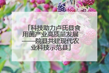 科技助力卢氏县食用菌产业高质量发展——院县共建现代农业科技示范县