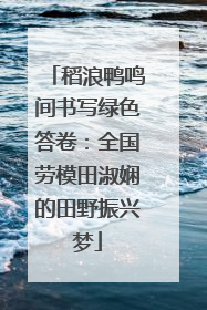 稻浪鸭鸣间书写绿色答卷：全国劳模田淑娴的田野振兴梦