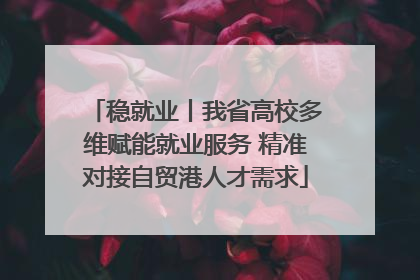 稳就业丨我省高校多维赋能就业服务 精准对接自贸港人才需求