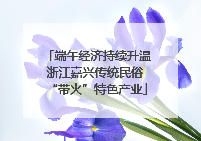 端午经济持续升温 浙江嘉兴传统民俗“带火”特色产业