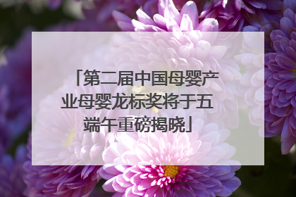 第二届中国母婴产业母婴龙标奖将于五端午重磅揭晓