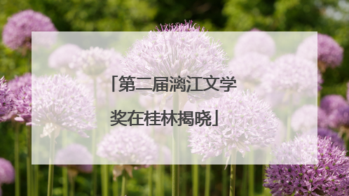 第二届漓江文学奖在桂林揭晓