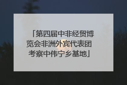 第四届中非经贸博览会非洲外宾代表团考察中伟宁乡基地