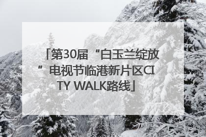第30届“白玉兰绽放”电视节临港新片区CITY WALK路线