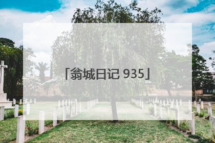 翁城日记 935